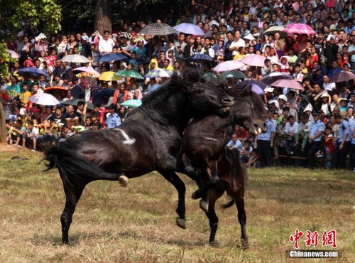 ��������ɽ�ٰ�«�϶����� ��������ͬ��ʢװ����