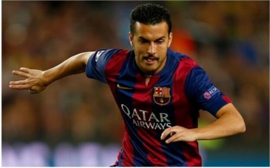 ����700�������������Ӣ�����ź���