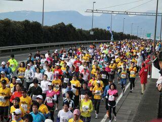 �ձ����Ϲ���������