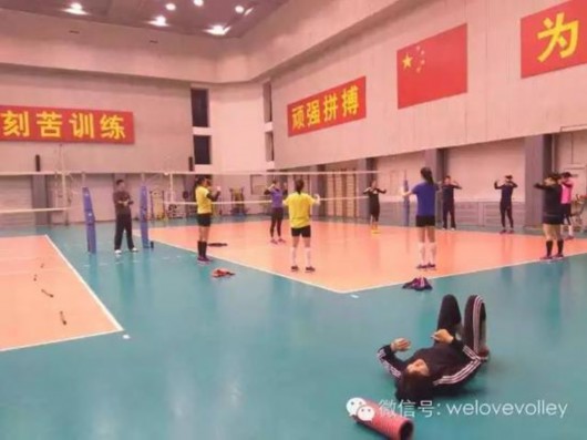 郎平率9名队员开启首堂训练课 徐云丽杨方旭缺
