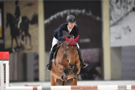 2016����׳�FEI�����Ǽ���