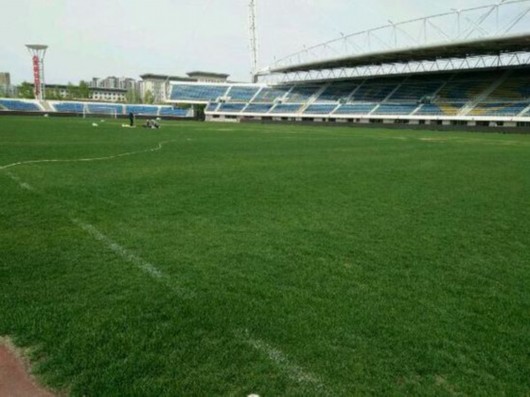 不易!亚泰 菜地 终于返青 新气象预示保级有望