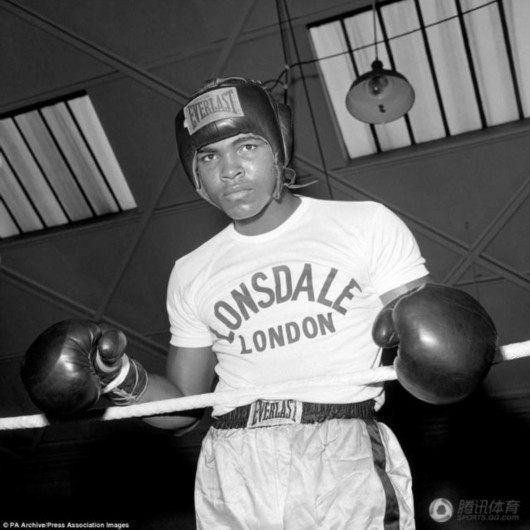 ��������Զ������