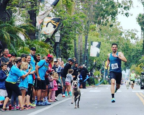 城会玩!男子与汪星人组队破1英里赛跑世界纪录