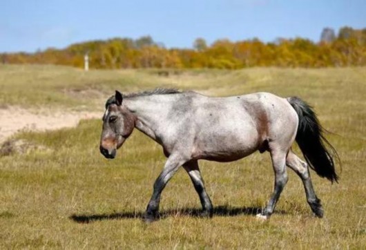 �ɹ����Ĺ���