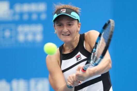 ������������ת�������� ժ��ְҵ���ĵ�����