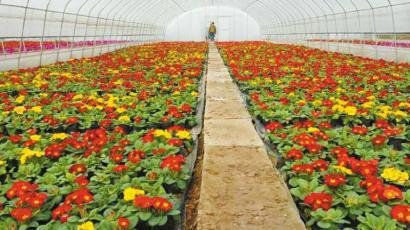 ����һ�� ��Ȩ̽��������ġ�������ҵ��