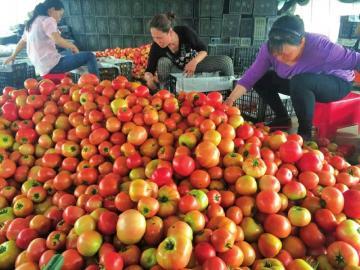 ȷ������ⰲȫ���˱�������һ����