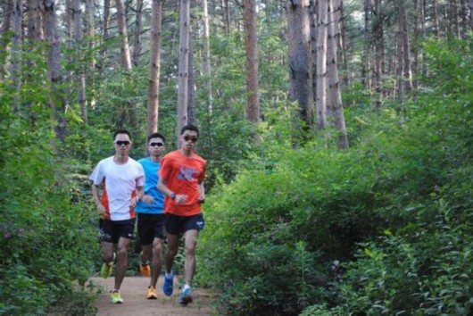 ɭ�������ɳ���ɽվ������������ɭ�����ν�ͬ�ڿ�Ļ��