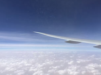 �ͷ�Բ����Լ�ռ����˹ھ�Ů��