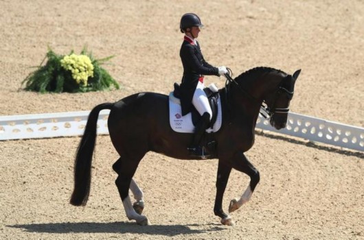 14��ʢװ�貽�������� �����ֻ���ö���˽���